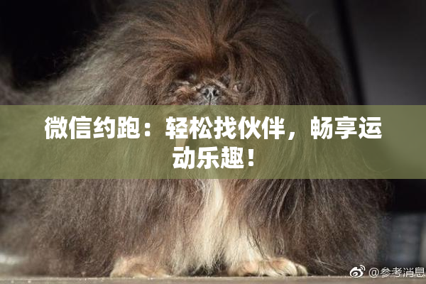 微信约跑：轻松找伙伴，畅享运动乐趣！