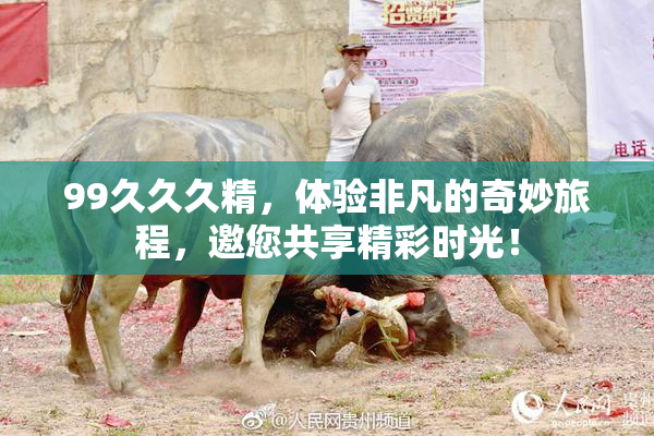 99久久久精，体验非凡的奇妙旅程，邀您共享精彩时光！