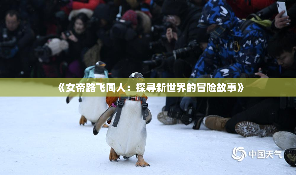 《女帝路飞同人：探寻新世界的冒险故事》