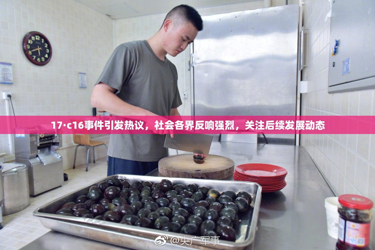 17·c16事件引发热议，社会各界反响强烈，关注后续发展动态
