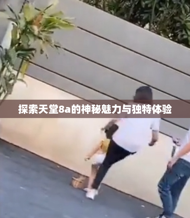 探索天堂8a的神秘魅力与独特体验