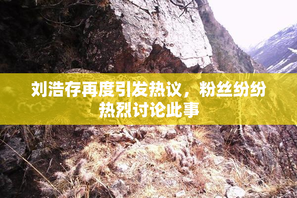 刘浩存再度引发热议，粉丝纷纷热烈讨论此事