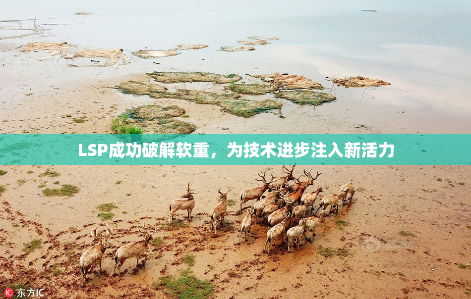 LSP成功破解软重，为技术进步注入新活力