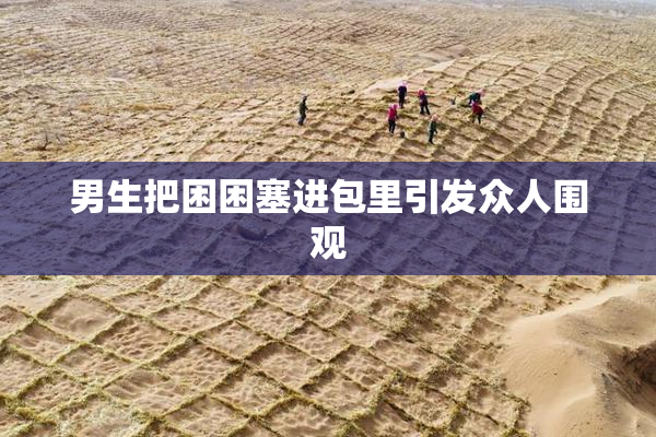 男生把困困塞进包里引发众人围观