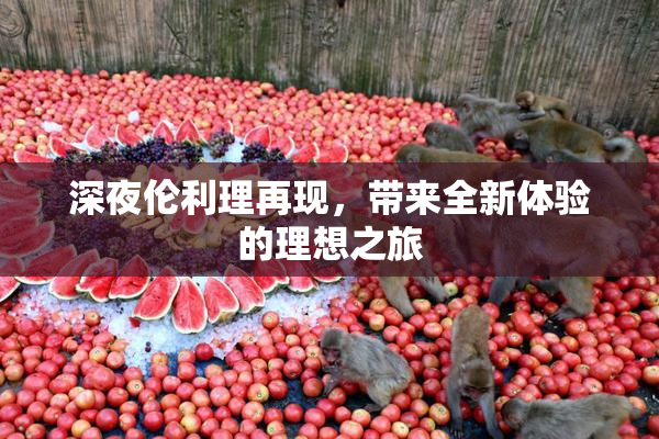 深夜伦利理再现，带来全新体验的理想之旅