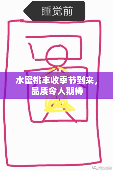 水蜜桃丰收季节到来，品质令人期待