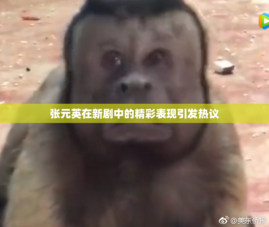 张元英在新剧中的精彩表现引发热议