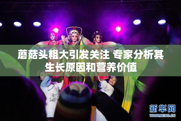 蘑菇头粗大引发关注 专家分析其生长原因和营养价值