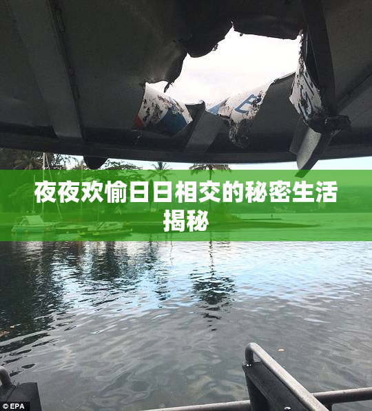 夜夜欢愉日日相交的秘密生活揭秘