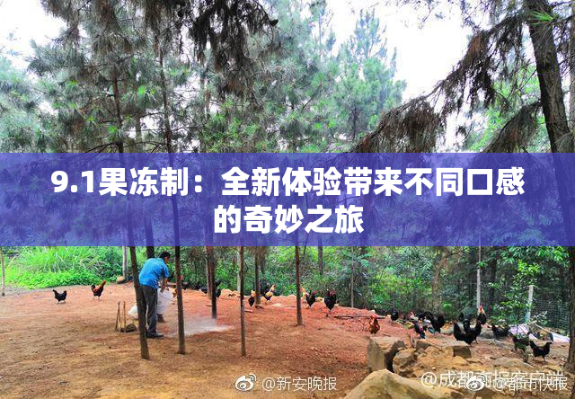 9.1果冻制：全新体验带来不同口感的奇妙之旅
