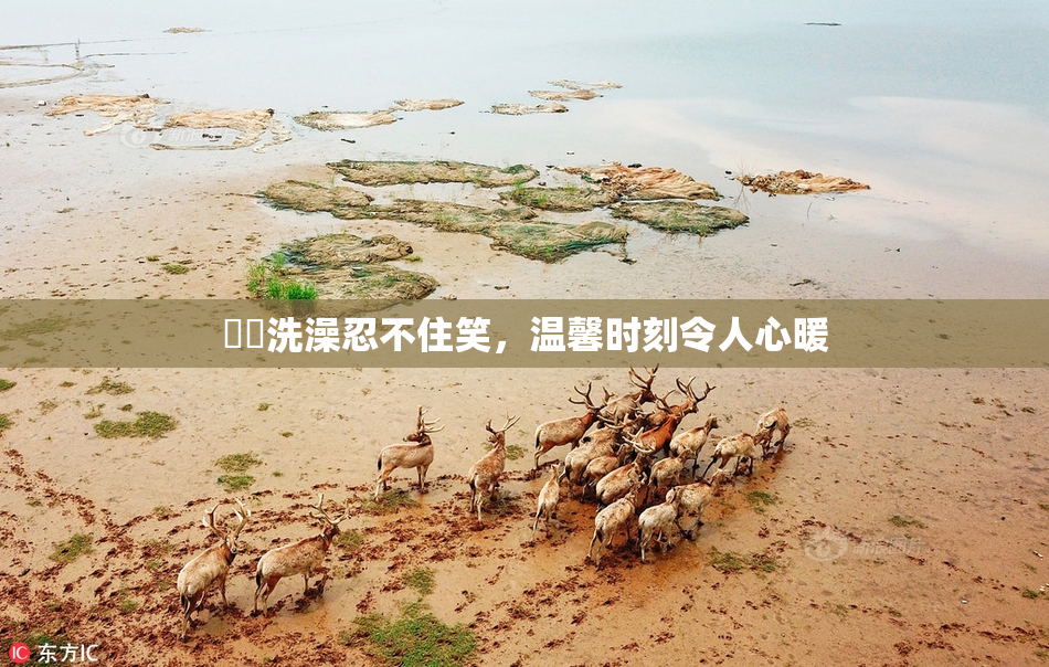 妺妺洗澡忍不住笑，温馨时刻令人心暖