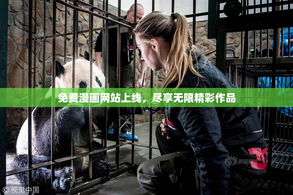 免费漫画网站上线，尽享无限精彩作品