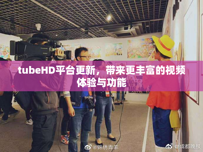 tubeHD平台更新，带来更丰富的视频体验与功能