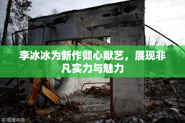 李冰冰为新作倾心献艺，展现非凡实力与魅力