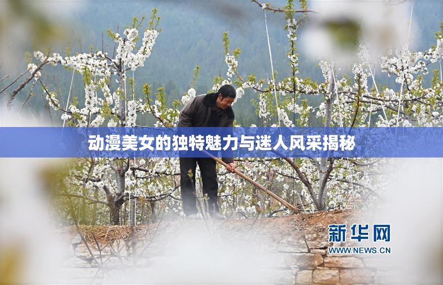动漫美女的独特魅力与迷人风采揭秘