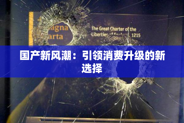 国产新风潮：引领消费升级的新选择
