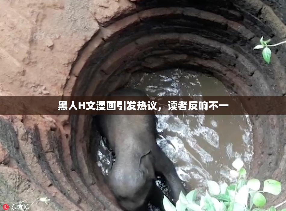 黑人H文漫画引发热议，读者反响不一