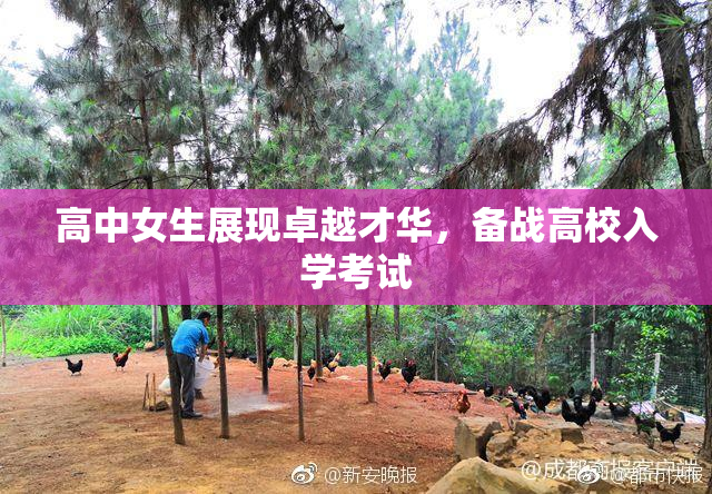 高中女生展现卓越才华，备战高校入学考试