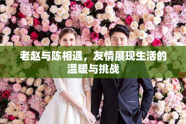 老赵与陈相遇，友情展现生活的温暖与挑战