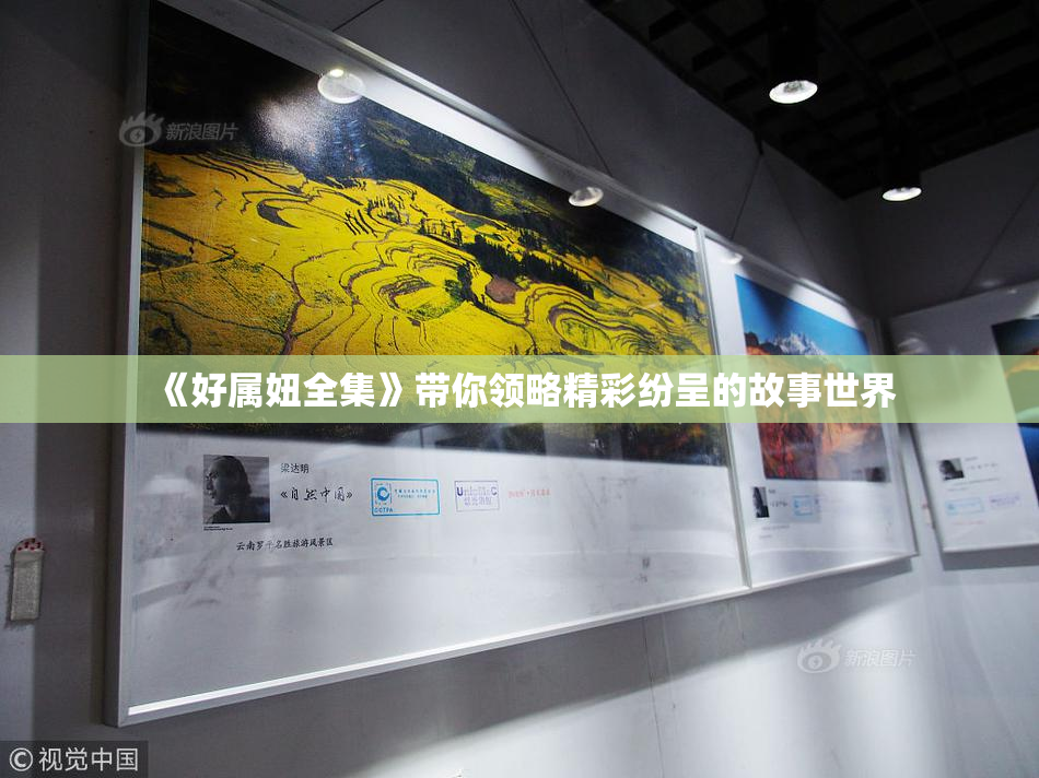 《好属妞全集》带你领略精彩纷呈的故事世界