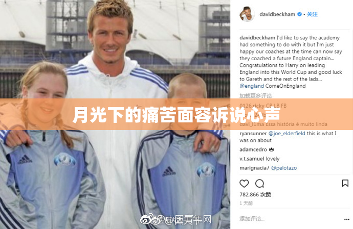 月光下的痛苦面容诉说心声