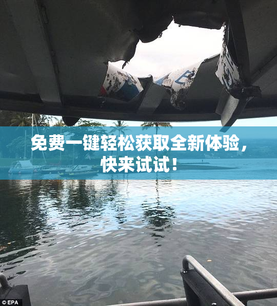 免费一键轻松获取全新体验，快来试试！