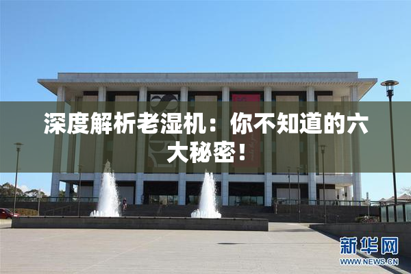 深度解析老湿机：你不知道的六大秘密！