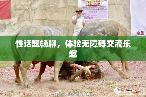 性话题畅聊，体验无障碍交流乐趣
