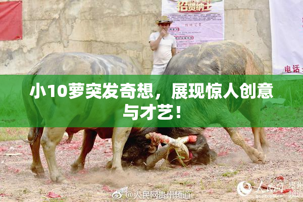 小10萝突发奇想，展现惊人创意与才艺！