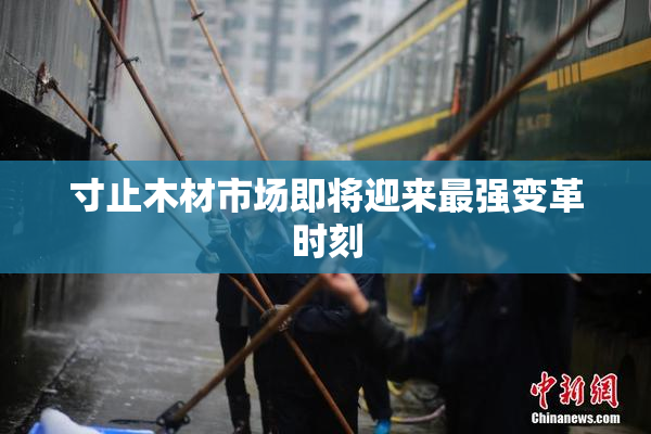 寸止木材市场即将迎来最强变革时刻