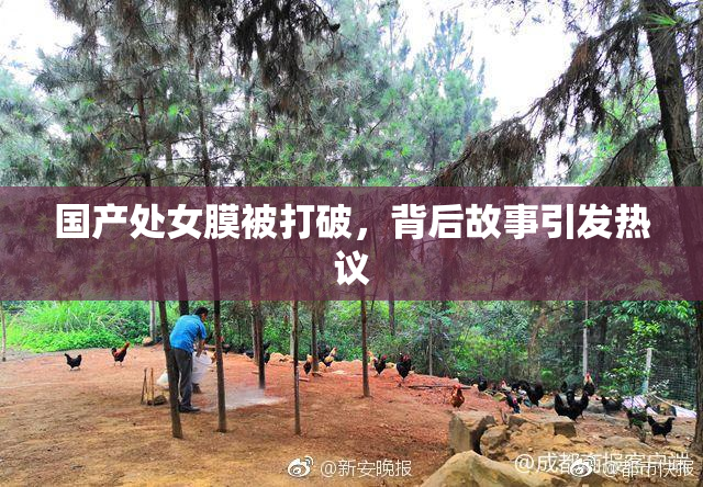 国产处女膜被打破，背后故事引发热议