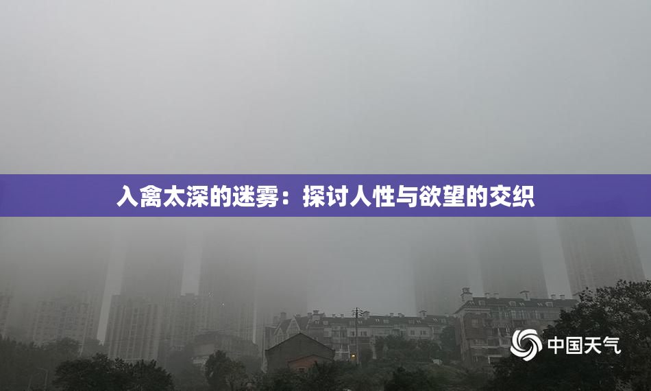 入禽太深的迷雾：探讨人性与欲望的交织