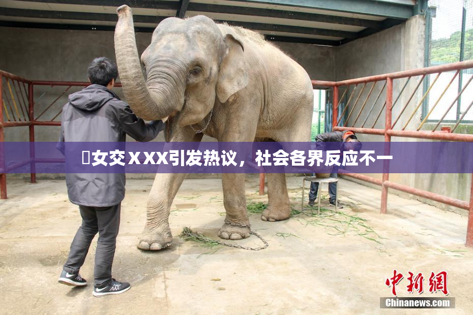 乣女交ⅩXX引发热议，社会各界反应不一