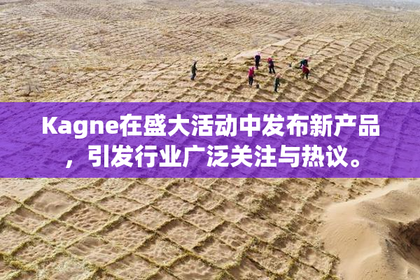 Kagne在盛大活动中发布新产品，引发行业广泛关注与热议。