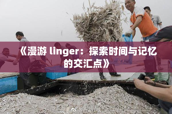 《漫游 linger：探索时间与记忆的交汇点》