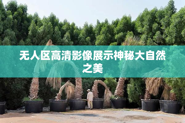 无人区高清影像展示神秘大自然之美
