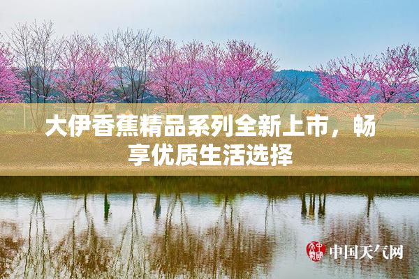 大伊香蕉精品系列全新上市，畅享优质生活选择