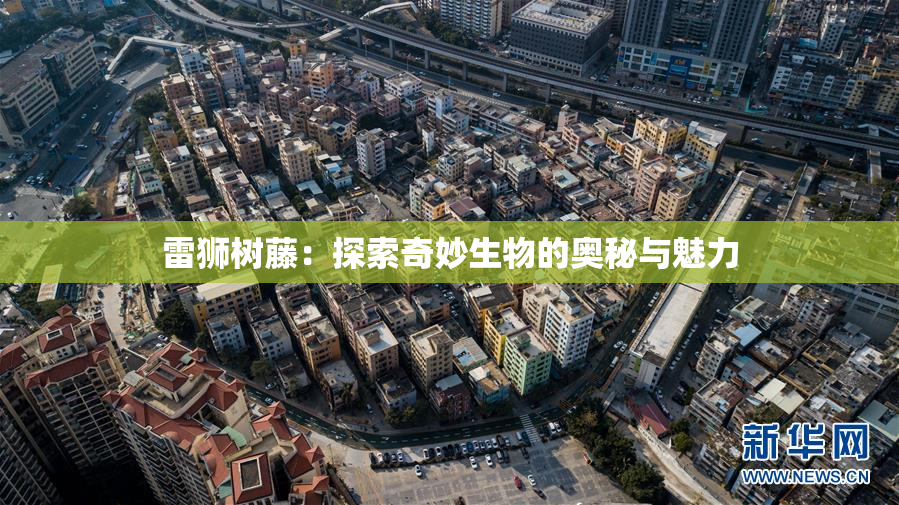 雷狮树藤：探索奇妙生物的奥秘与魅力