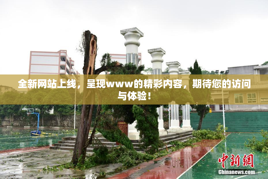 全新网站上线，呈现www的精彩内容，期待您的访问与体验！