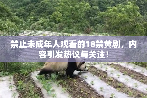 禁止未成年人观看的18禁黄剧，内容引发热议与关注！