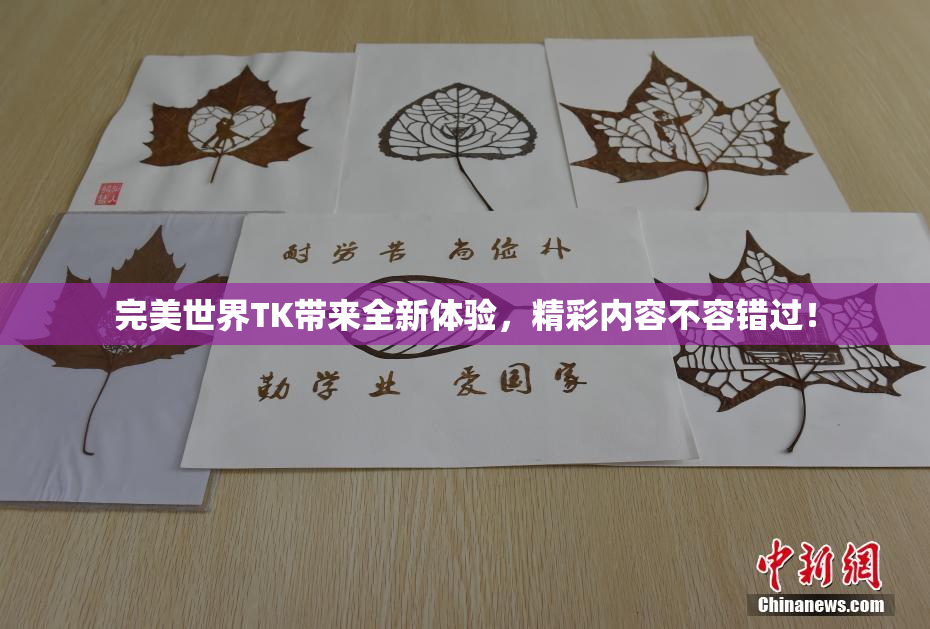 完美世界TK带来全新体验，精彩内容不容错过！