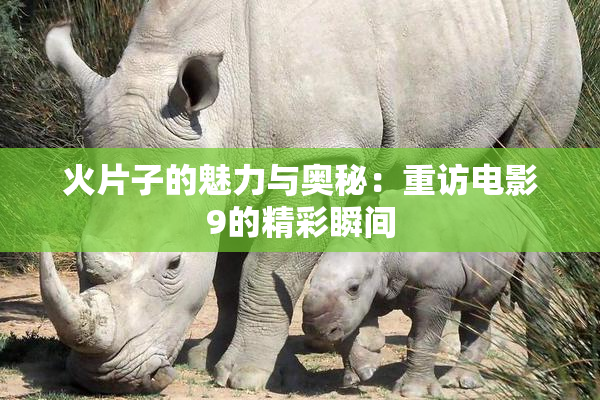 火片子的魅力与奥秘：重访电影9的精彩瞬间