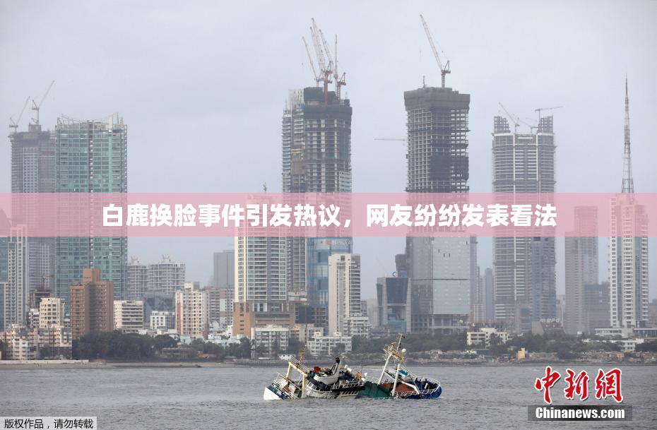 白鹿换脸事件引发热议，网友纷纷发表看法