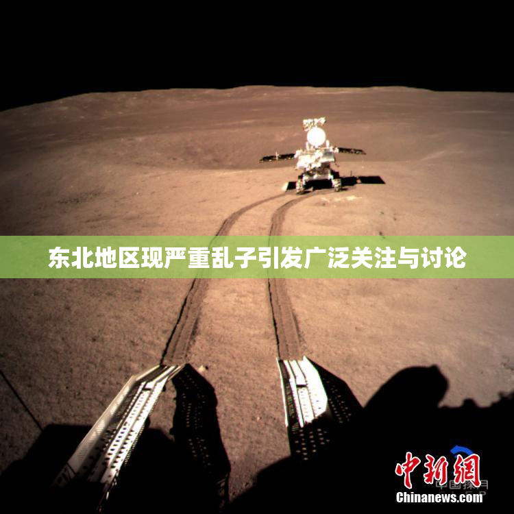 东北地区现严重乱子引发广泛关注与讨论