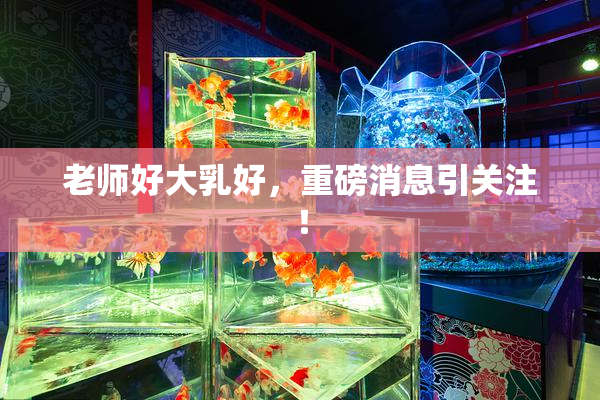 老师好大乳好，重磅消息引关注！