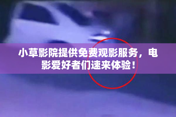 小草影院提供免费观影服务，电影爱好者们速来体验！