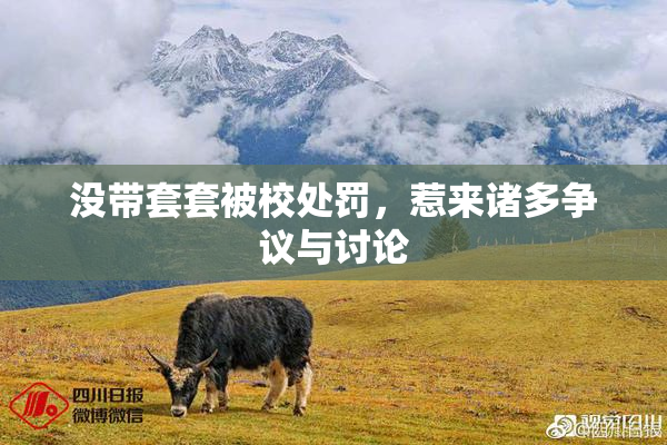 没带套套被校处罚，惹来诸多争议与讨论