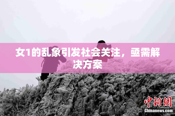 女1的乱象引发社会关注，亟需解决方案
