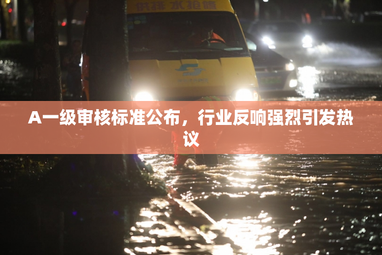 A一级审核标准公布，行业反响强烈引发热议