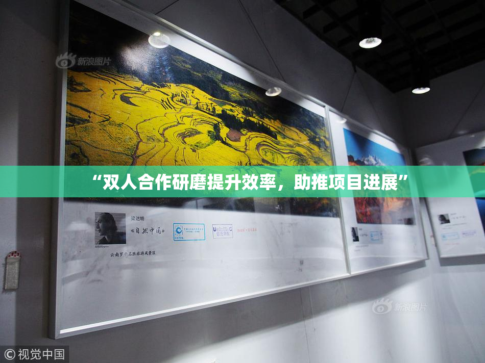 “双人合作研磨提升效率，助推项目进展”